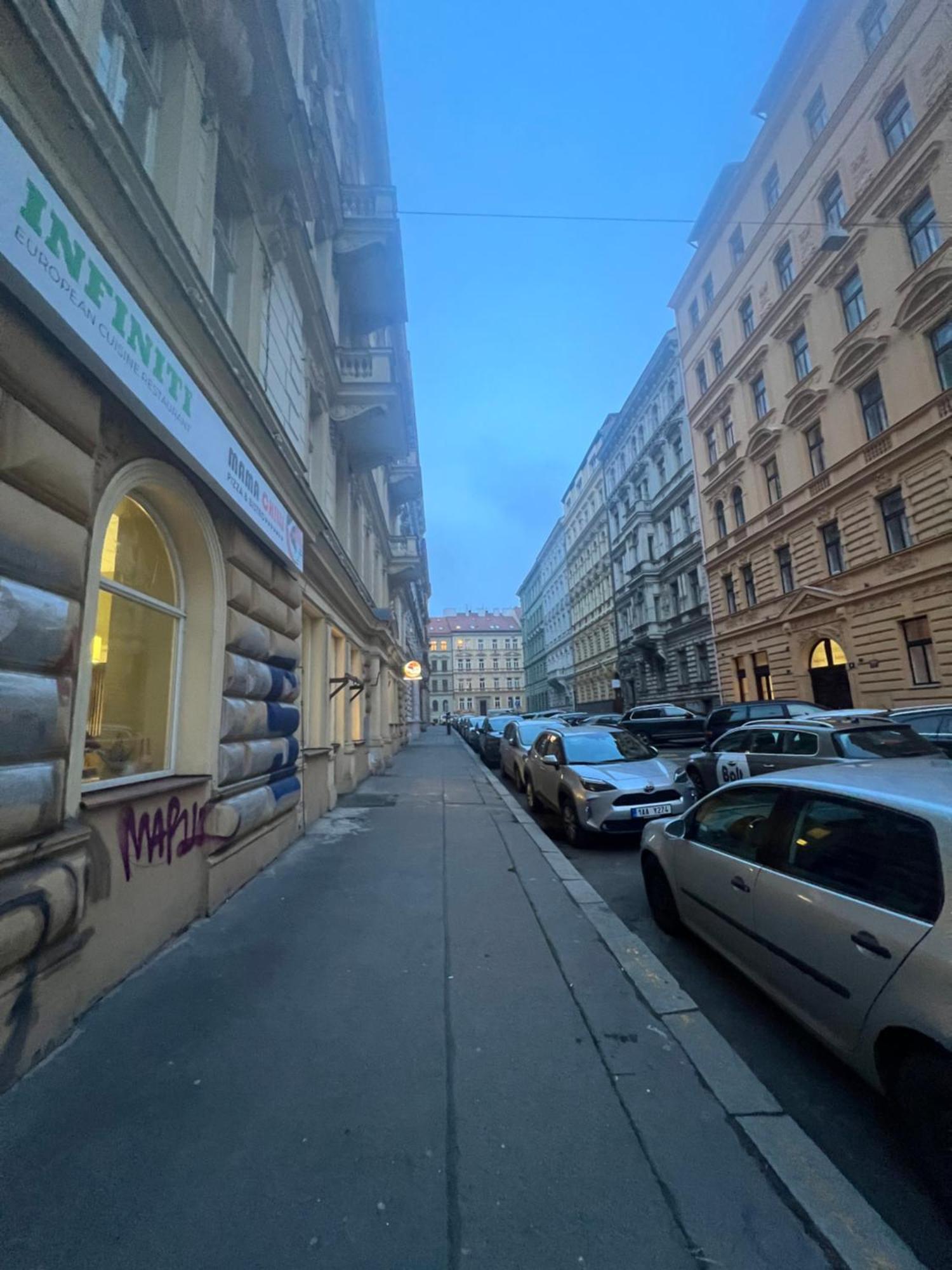 Nika Apartments Prague 2 Екстериор снимка